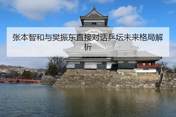 张本智和与樊振东直接对话乒坛未来格局解析